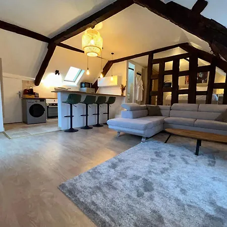 Le Gatsby - Cosy Flat Hyper-centre Senlis