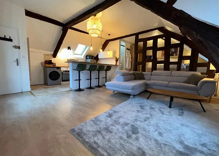 Le Gatsby - Cosy Flat Hyper-centre